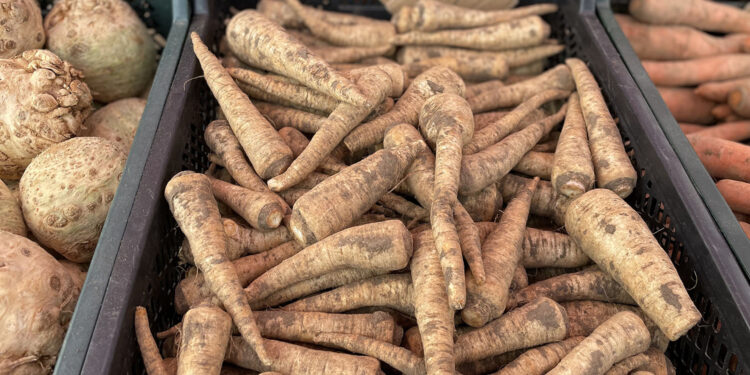 Końskie. Targowisko / Fot. Magdalena Galas-Klusek - Radio Kielce