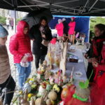 02.04.2023. Pińczów. Kiermasz wielkanocny. / Fot. Marta Gajda-Kruk - Radio Kielce