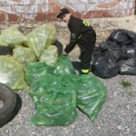 22.04.2023. Skały w gminie Nowa Słupia. Sprzątanie śmieci w ramach Światowego Dnia Ziemi. / Fot. Anna Głąb - Radio Kielce