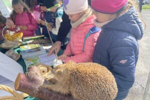Leśnicy uczą dzieci, jak dbać o przyrodę