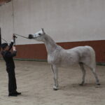 13.04.2023. Michałów. Wizyta przedstawicieli izby wyższej parlamentu. / Fot. Marta Gajda-Kruk - Radio Kielce