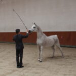 13.04.2023. Michałów. Wizyta przedstawicieli izby wyższej parlamentu. / Fot. Marta Gajda-Kruk - Radio Kielce