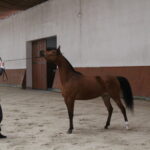 13.04.2023. Michałów. Wizyta przedstawicieli izby wyższej parlamentu. / Fot. Marta Gajda-Kruk - Radio Kielce