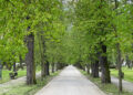 Park zostanie odnowiony. Miasto pozyskało dużą dotację
