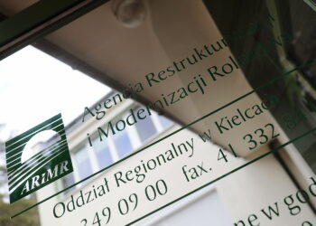 Trwa nabór wniosków o pomoc dla producentów pszenicy lub kukurydzy - Radio Kielce