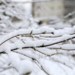 Zimowy telefon interwencyjny dla mieszkańców już działa