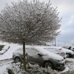 03.04.2023. Kielce. Śnieg w stolicy województwa / Fot. Wiktor Taszłow - Radio Kielce