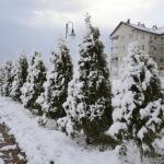 03.04.2023. Kielce. Śnieg w stolicy województwa / Fot. Wiktor Taszłow - Radio Kielce