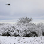 03.04.2023. Kielce. Śnieg w stolicy województwa / Fot. Wiktor Taszłow - Radio Kielce