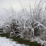 03.04.2023. Kielce. Śnieg w stolicy województwa / Fot. Wiktor Taszłow - Radio Kielce