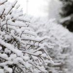 03.04.2023. Kielce. Śnieg w stolicy województwa / Fot. Wiktor Taszłow - Radio Kielce