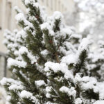 03.04.2023. Kielce. Śnieg w stolicy województwa / Fot. Wiktor Taszłow - Radio Kielce