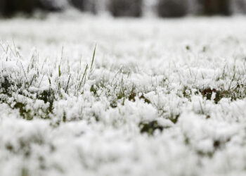 Zapowiada się pierwszy rok od lat bez wejścia w wiosnę z suszą - Radio Kielce 03.04.2023. Kielce. Śnieg w stolicy województwa / Fot. Wiktor Taszłow - Radio Kielce