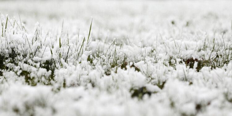 03.04.2023. Kielce. Śnieg w stolicy województwa / Fot. Wiktor Taszłow - Radio Kielce