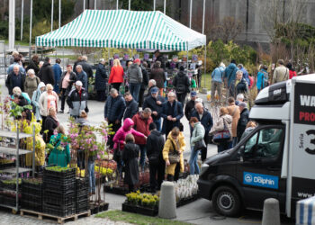 Dla domu i ogrodu w Targach Kielce. Przyjedzie ekspert Dominik Strzelec - Radio Kielce