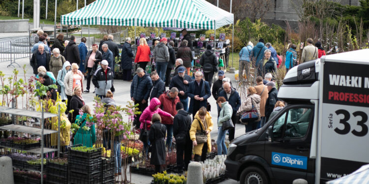 Dla domu i ogrodu w Targach Kielce. Przyjedzie ekspert Dominik Strzelec - Radio Kielce Dla domu i ogrodu w Targach Kielce. Przyjedzie ekspert Dominik Strzelec - Radio Kielce