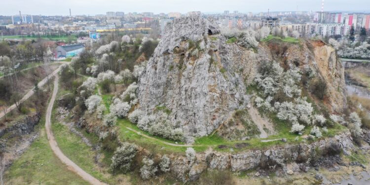 Rezerwat geologiczny Kadzielnia w Kielcach