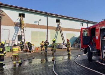 Pożar w hali z suszem herbacianym. W akcji kilkanaście zastępów straży