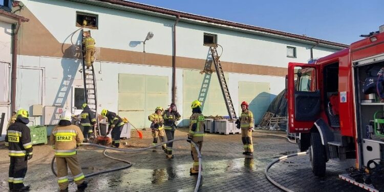 Pożar w hali z suszem herbacianym. W akcji kilkanaście zastępów straży