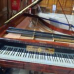 Fot. Anna Rębas - Radio Gdańsk