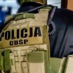 Służby rozbiły gang złodziei i paserów samochodowych