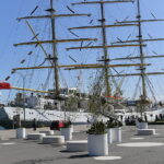 29.05.2023. Gdynia. Pożegnanie żaglowca „Dar Młodzieży” przy nabrzeżu Pomorskim w Gdyni. Statek wychodzi w niemal półroczny rejs, podczas którego pokona około 12 500 mil morskich. Weźmie m.in. udział w regatach The Tall Ships Races i przejdzie równik upamiętniając w ten sposób 100-lecie przekroczenia najdłuższego równoleżnika przez pierwszy statek pod polską banderą – żaglowiec „Lwów” / Fot. PAP - Adam Warżawa