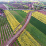 27.04.2023. Budowa obwodnicy Opatowa w ciągu dróg krajowych nr 9 i 74 / źródło: obwodnicaopatowa.pl