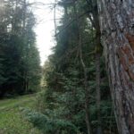 15.05.2023. Wilków. Nowa ścieżka edukacyjna / Fot. Świętokrzyski Poziom Gór - Facebook