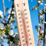 Synoptycy ujawniają jakie wartości pokażą termometry