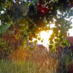 IMGW ostrzega przed deszczem i wieszczy historyczne upały