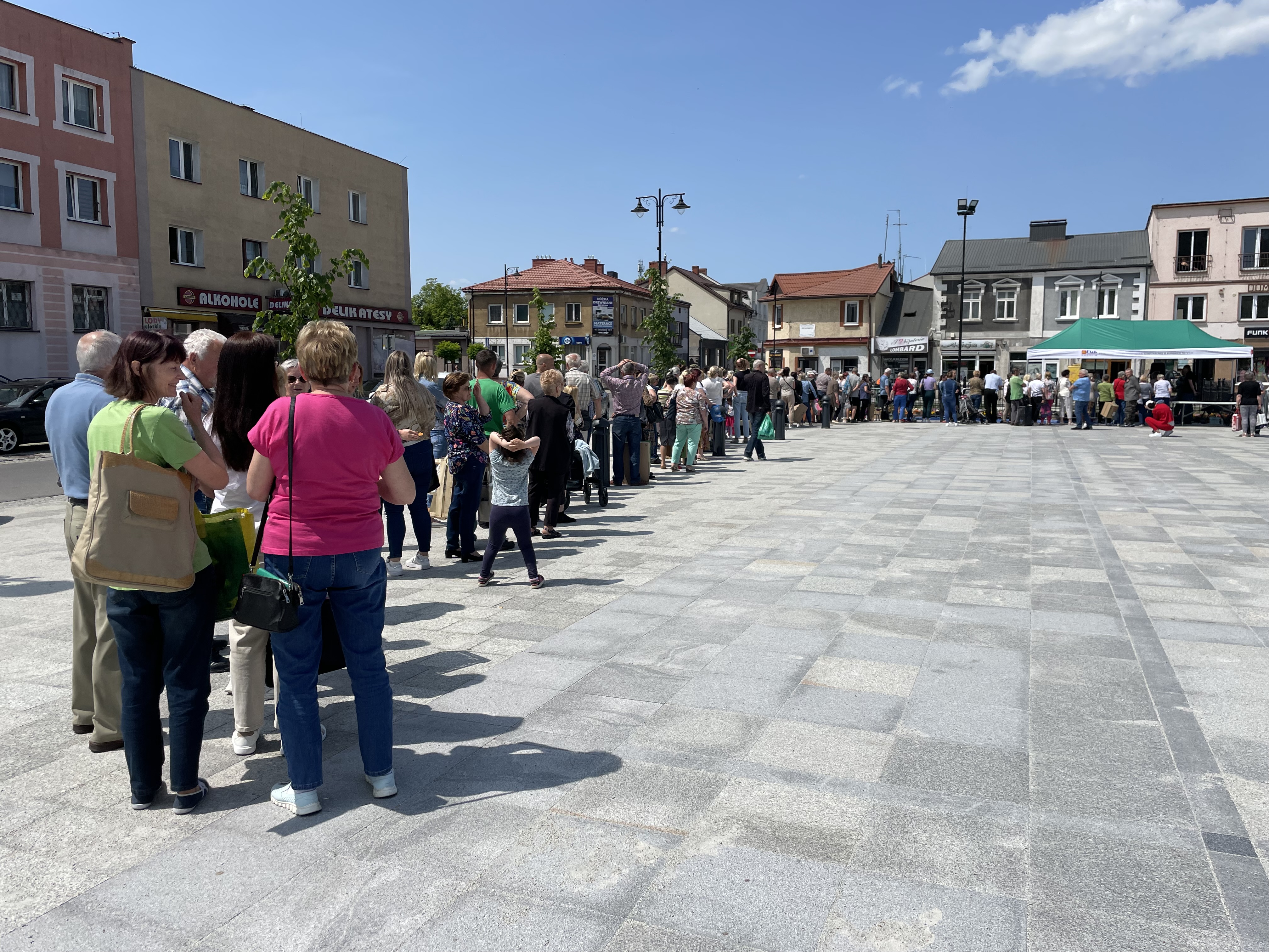 Tysięce darmowych bratków dla mieszkańców