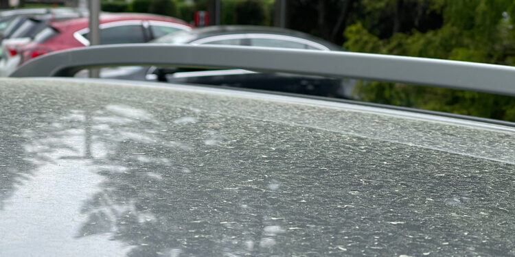 Chmura pyłu nad Polską. Spadnie nietypowy deszcz