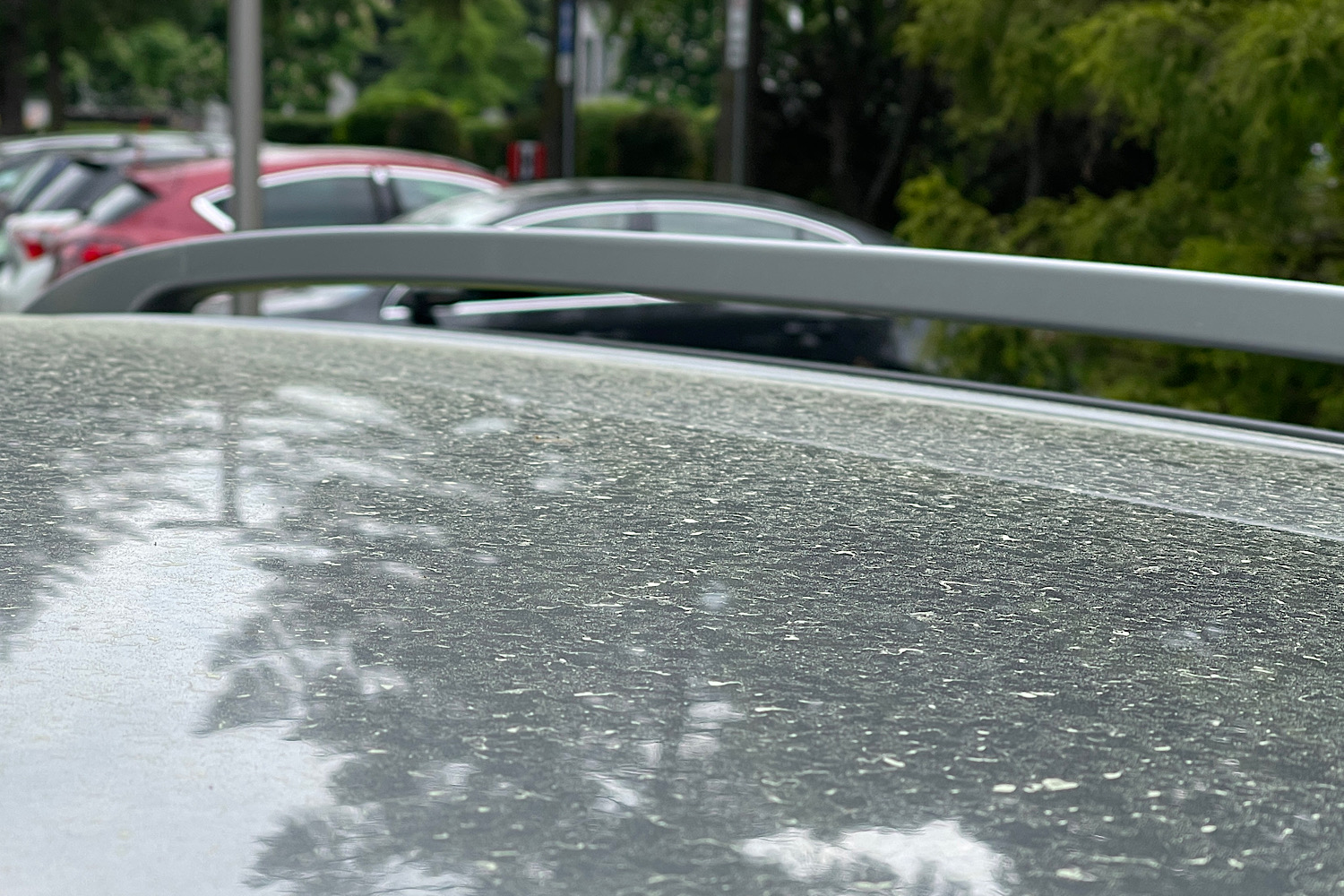 Chmura pyłu nad Polską. Spadnie nietypowy deszcz