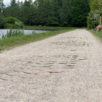 20.05.2023. Kielce. Zalew Kielecki. Ścieżka wokół zalewu / Fot. Wiktor Taszłow - Radio Kielce