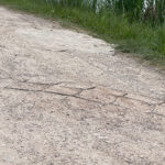 20.05.2023. Kielce. Zalew Kielecki. Ścieżka wokół zalewu / Fot. Wiktor Taszłow - Radio Kielce