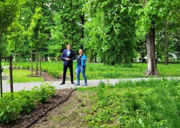 W Sandomierzu rozpoczęło się wiosenne koszenie trawników