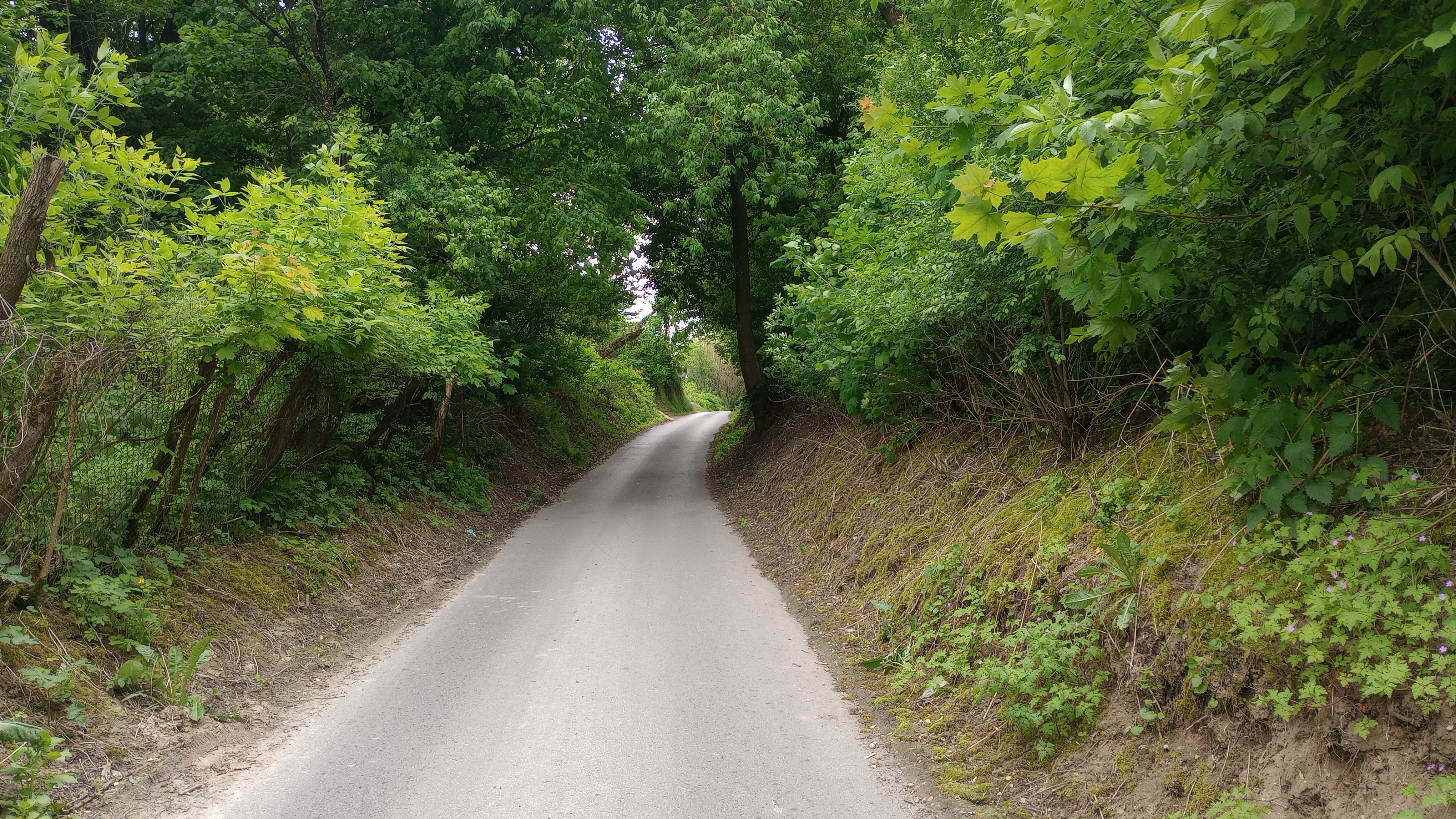 Dwa wąwozy lessowe w powiecie sandomierskim zostaną wzmocnione