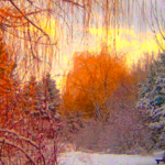 PROGNOZA POGODY WEDŁUG MARKA STEFAŃCA