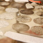 26.05.2023. Kielce. WDK. Wystawa “Pancerne Zęby” / Fot. Wiktor Taszłow - Radio Kielce