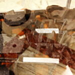 26.05.2023. Kielce. WDK. Wystawa “Pancerne Zęby” / Fot. Wiktor Taszłow - Radio Kielce