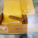 26.05.2023. Kielce. WDK. Wystawa “Pancerne Zęby” / Fot. Wiktor Taszłow - Radio Kielce