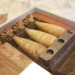 26.05.2023. Kielce. WDK. Wystawa “Pancerne Zęby” / Fot. Wiktor Taszłow - Radio Kielce