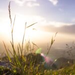 Poniedziałek słoneczny i ciepły, tylko punktowe opady deszczu [PROGNOZA POGODY]