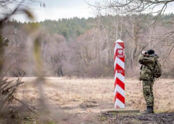 Żołnierze WOT szukają balonu, który nadleciał z kierunku Białorusi, w Kipichach