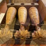 26.05.2023. Kielce. WDK. Wystawa “Pancerne Zęby” / Fot. Daniel Czwartosz - Radio Kielce