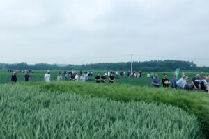 Dni Pola w Słupi Jędrzejowskiej co roku gromadzą wielu rolników, mieszkańców obszarów wiejskich, uczniów i nauczycieli szkół rolniczych / Fot. Stacja Doświadczalna Oceny Odmian