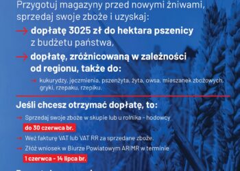 Rada Ministrów podjęła decyzję o rekordowej dopłacie do zbóż - Radio Kielce