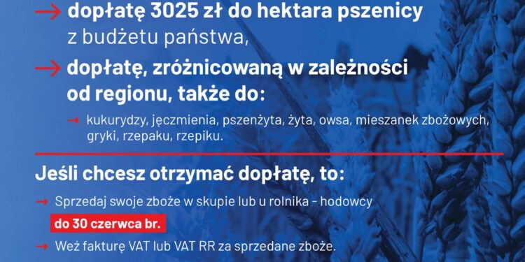 Rada Ministrów podjęła decyzję o rekordowej dopłacie do zbóż - Radio Kielce