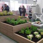 Podwyższone grządki w ogrodzie i na balkonie