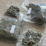 Fot. Świętokrzyska Policja